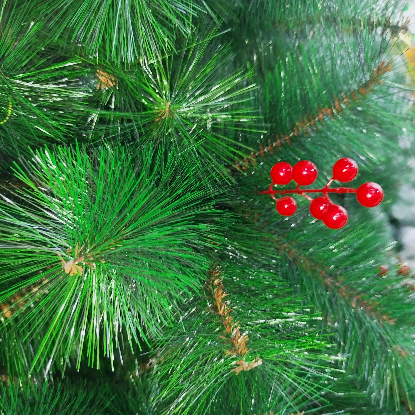 Arbol De Navidad Pino Tíbet Con Cherry