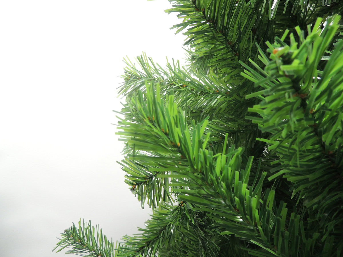 NEBRASKA RAMAS.jpg__PID:736d9894-5bbd-4d0a-892a-88dab96ddef5