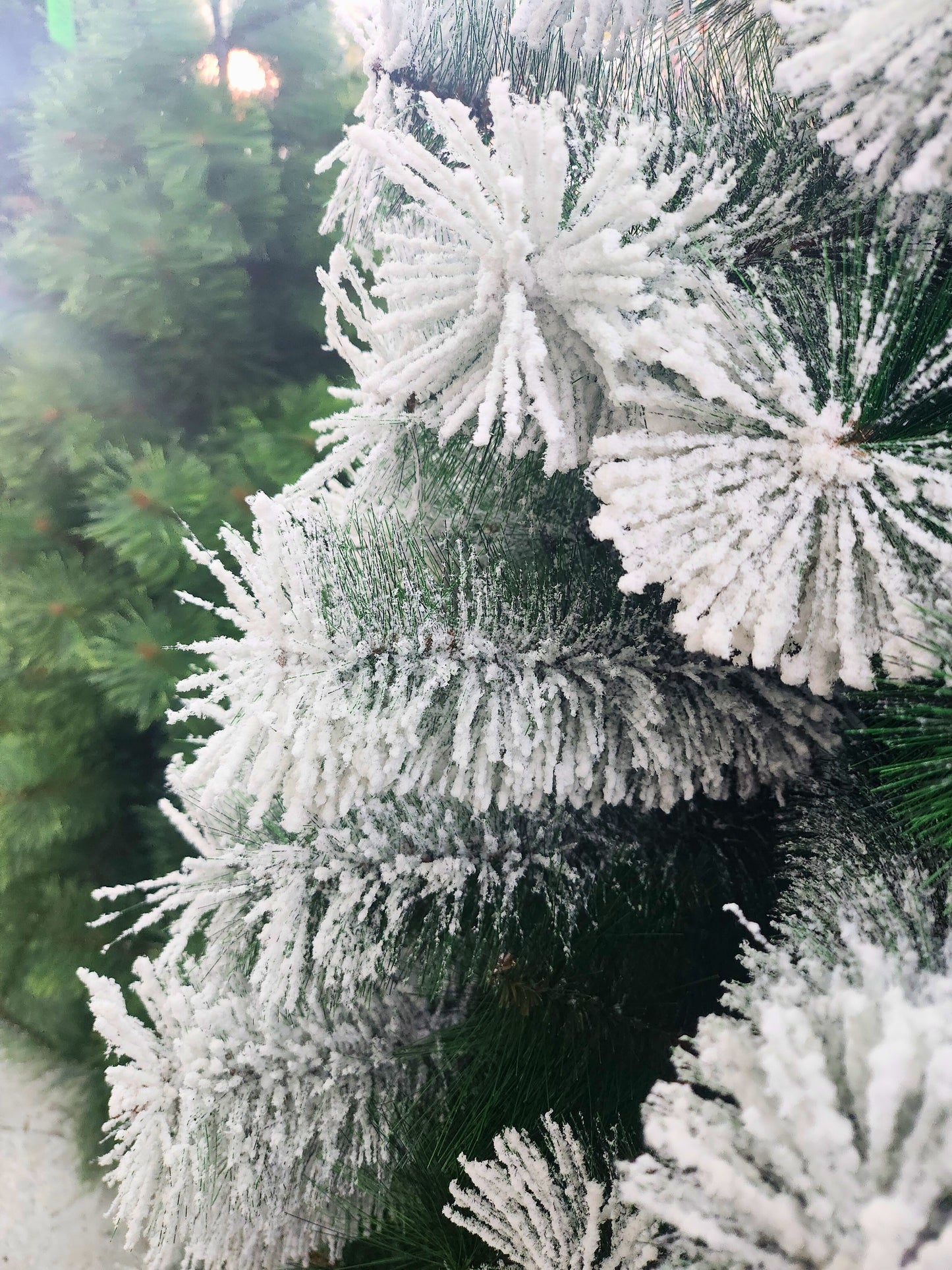 Arbol De Navidad Pino Nevado